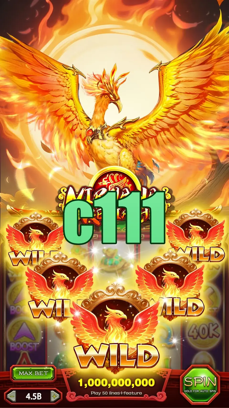 c111 Login